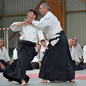 Aikido à Penvénan en 2011